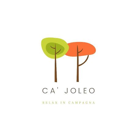 Ca'Joleo - Relax In Campagna Del Lago Di Garda San Giorgio in Salici Zewnętrze zdjęcie